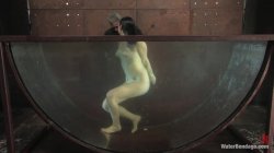 Captura de 'Water Bondage - Featuring Andy San Dimas' nº 110