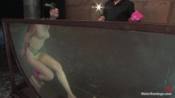 Captura de 'Water Bondage - Featuring Andy San Dimas' nº 126