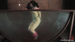 Captura de 'Water Bondage - Featuring Andy San Dimas' nº 135