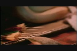 Captura de 'How to Marry a Millionaire' nº 73