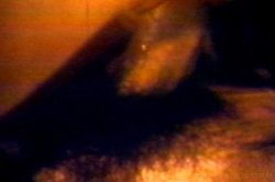 Captura de 'Candy Samples And Friends' nº 20