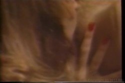 'Seduction Of Christy Canyon' screenshot nº 39
