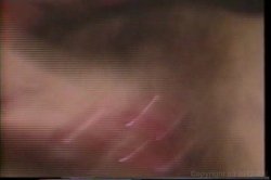 'Seduction Of Christy Canyon' screenshot nº 48