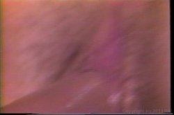'Seduction Of Christy Canyon' screenshot nº 26