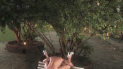 Captura de 'Raunchy in Rio' nº 79