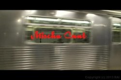 'Lesbian Life - Real Sex NYC' screenshot nº 1