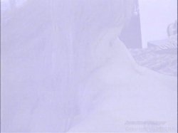 '4 In The Pussy' screenshot nº 46