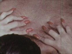 Captura de 'Hot Shots Of The 60's & 70's' nº 34