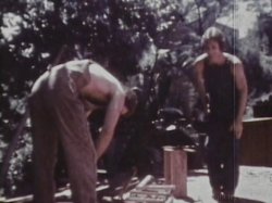 Captura de 'Hot Shots Of The 60's & 70's' nº 35