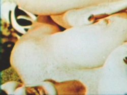 Captura de 'Hot Shots Of The 60's & 70's' nº 100