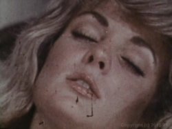 Captura de 'Hot Shots Of The 60's & 70's' nº 111