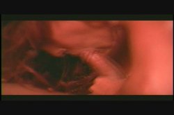 '5 Star Raylene' screenshot nº 118