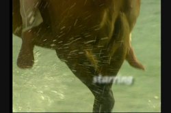 'Sex Island' screenshot nº 4