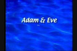 'Sex Island' screenshot nº 3