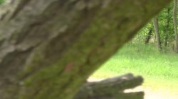 '10X Toys In The Sun' screenshot nº 38