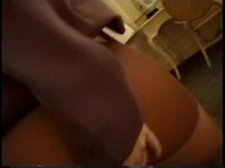 Captura de 'Bob's Line #159 - Garden Variety Pantyhose' nº 81