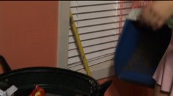 Captura de 'Barely Legal #62' nº 110