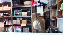 'ShopLyfter 5' screenshot nº 86