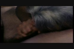 Captura de 'I Want You' nº 120