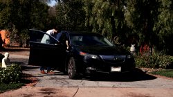 Captura de 'Neighborhood Swingers 22' nº 114