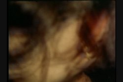 Captura de 'Jezebel' nº 31