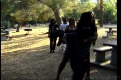 Captura de 'Blackyard Boogie 3' nº 20