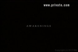 'Superfuckers 9: Anal Affairs' screenshot nº 2