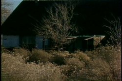 'Deep Inside Vanessa del Rio' screenshot nº 16