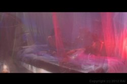 Captura de 'Playgirl: Surrender to Lust' nº 3