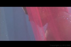 Captura de 'Playgirl: Surrender to Lust' nº 12