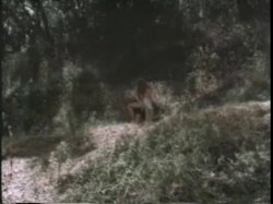 Captura de 'And the Winner Is... Racquel Darrian' nº 4