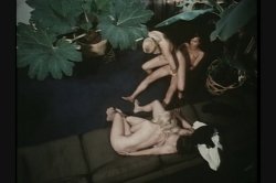 'Lusty Business' screenshot nº 95