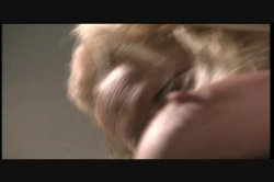 'Nikki Tyler Uncensored' screenshot nº 48