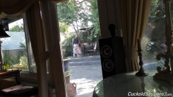 'My Wife Is A Black Cock Slut' screenshot nº 32