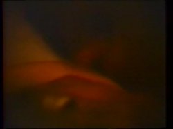 'Black Hole, White Pole' screenshot nº 78