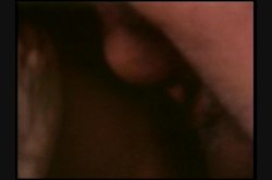 Captura de 'Vanessa Del Rio Screws The Stars' nº 46