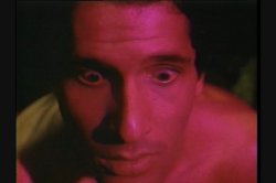 Captura de 'Vanessa Del Rio Screws The Stars' nº 97