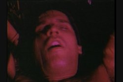 Captura de 'Vanessa Del Rio Screws The Stars' nº 111