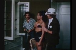 Captura de 'Vanessa Del Rio Screws The Stars' nº 123