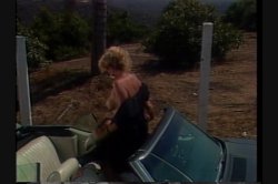 'Swedish Erotica Vol. 19' screenshot nº 123