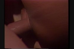 'Swedish Erotica Vol. 19' screenshot nº 125