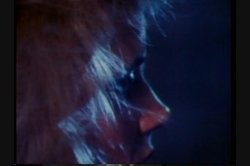 'Swedish Erotica Vol. 19' screenshot nº 14