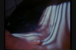 'Swedish Erotica Vol. 19' screenshot nº 17