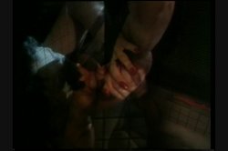 'Swedish Erotica Vol. 19' screenshot nº 8