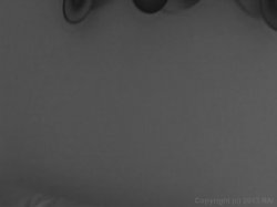 'Fresh Out The Box 10' screenshot nº 2