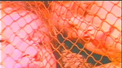 Captura de 'House of Dreams' nº 54