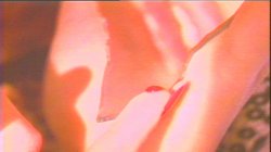 Captura de 'House of Dreams' nº 128