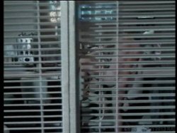 Captura de 'Jenna Loves Rocco' nº 78