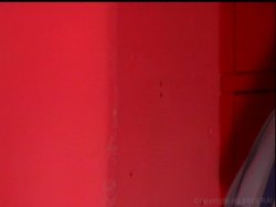 'Fresh Young Lesbians' screenshot nº 101