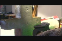 'Filthy Little Whores 3' screenshot nº 80